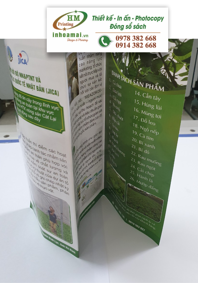 29_1 in màu chất lượng cao